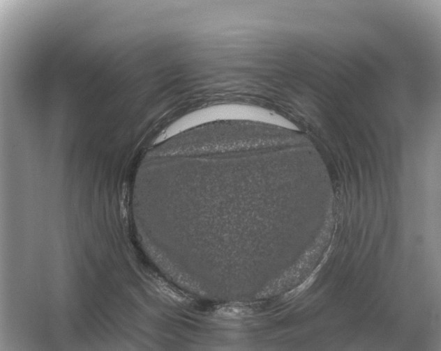 X0000064770174200602242008