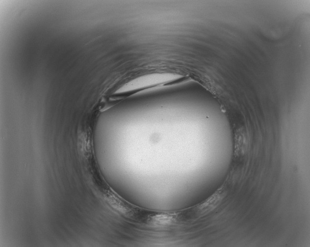 X0000064770176200602242008