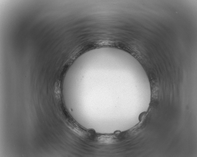 X0000064770179200602242008