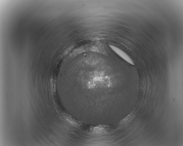 X0000064770180200602242008