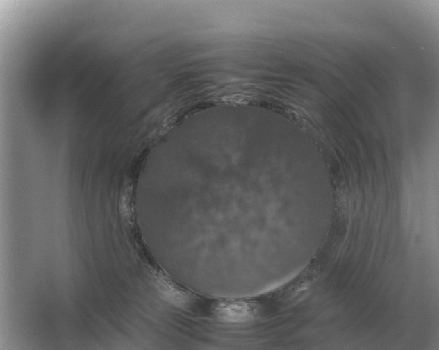 X0000064770181200602242008