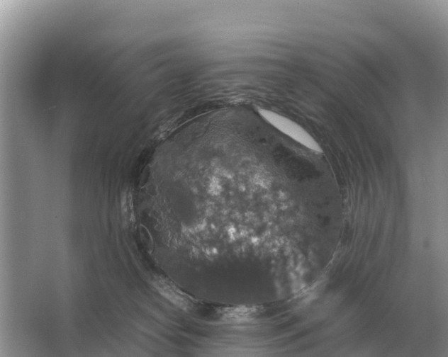 X0000064770182200602242008