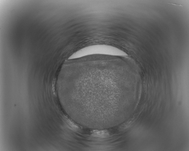 X0000064770185200602242008