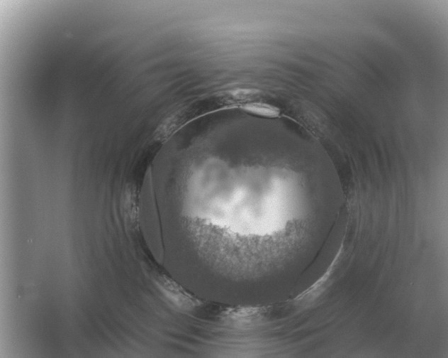 X0000064770186200602242008