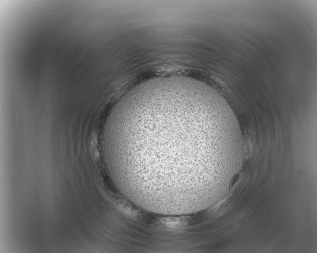 X0000064770187200602242008