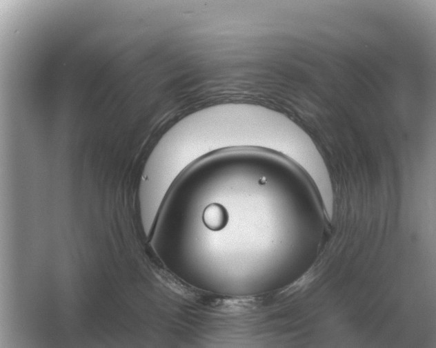 X0000064770188200602242008