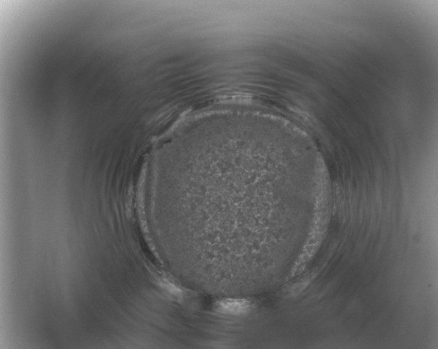 X0000064770189200602242008