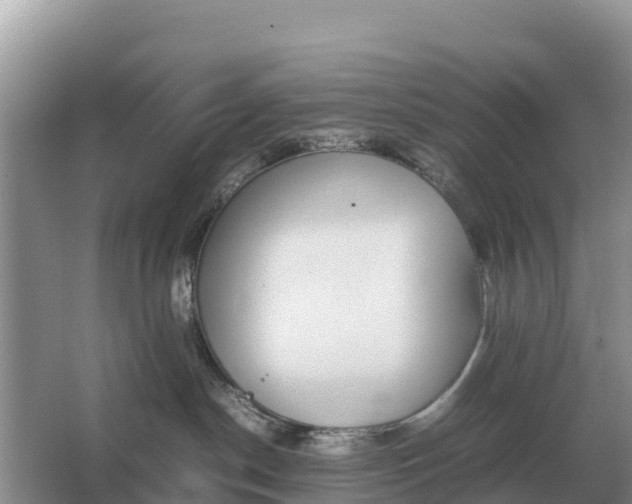 X0000064770190200602242008