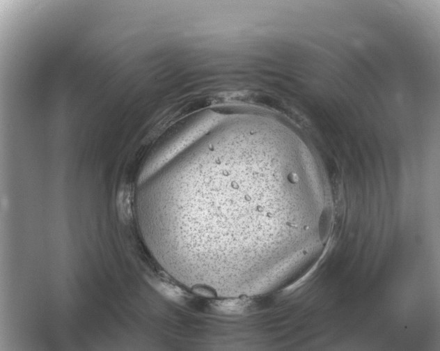 X0000064770191200602242008