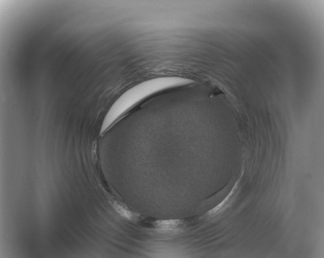 X0000064770192200602242008