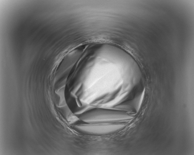 X0000064770193200602242007