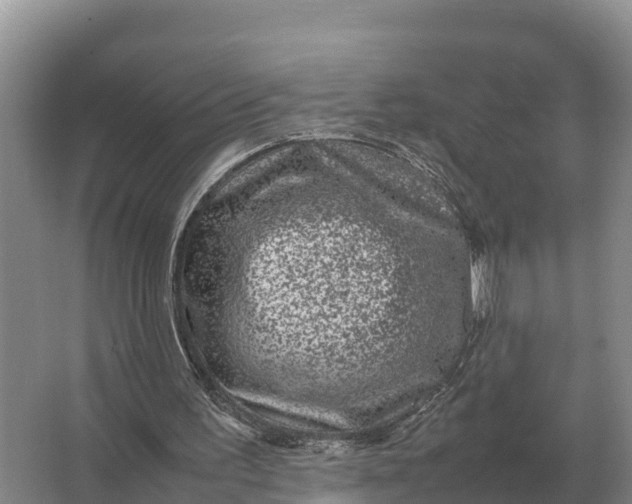 X0000064770195200602242007