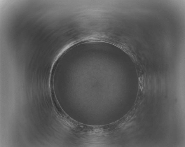 X0000064770196200602242007