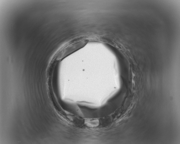 X0000064770197200602242007