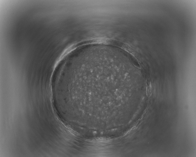 X0000064770198200602242007