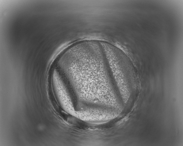 X0000064770199200602242007