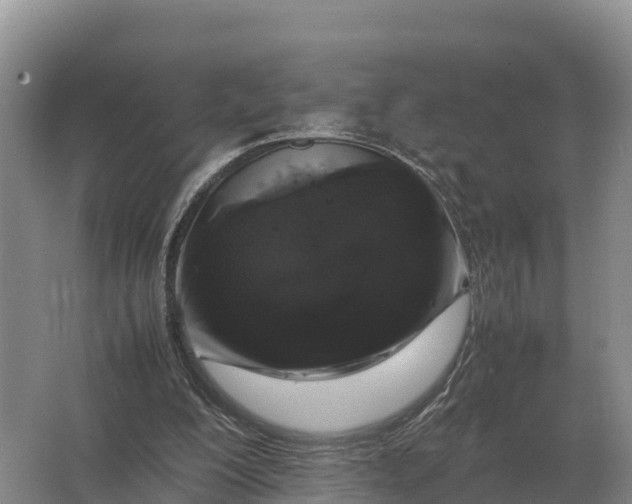 X0000064770200200602242007