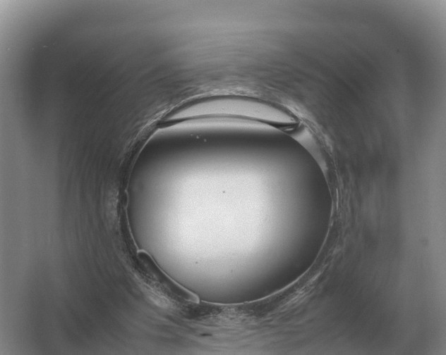 X0000064770201200602242007