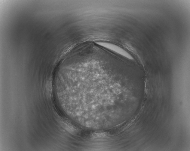 X0000064770202200602242007