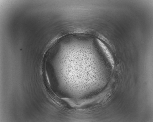 X0000064770203200602242007