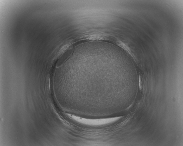 X0000064770205200602242006