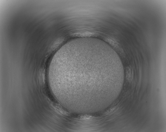 X0000064770206200602242006