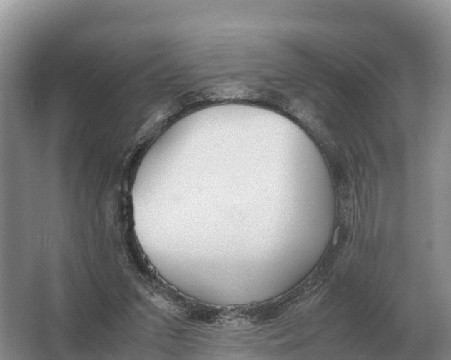 X0000064770207200602242006