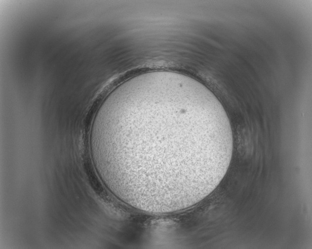 X0000064770208200602242006