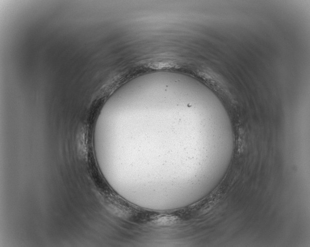 X0000064770210200602242006