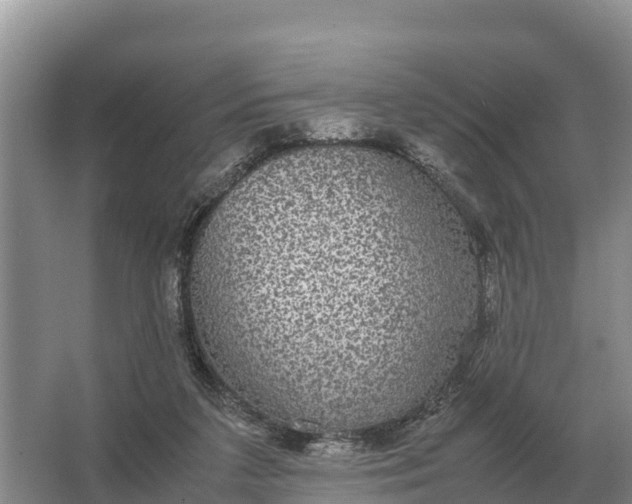 X0000064770211200602242006