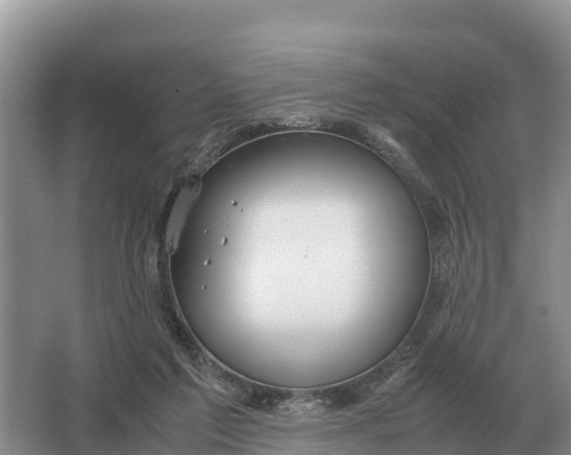 X0000064770213200602242006