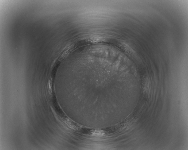 X0000064770214200602242006