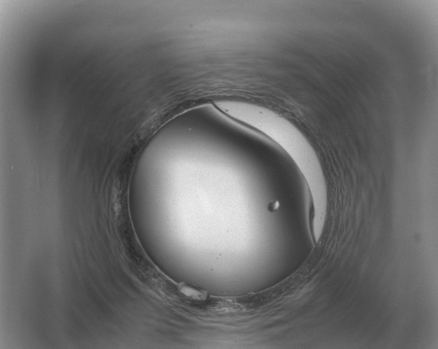 X0000064770215200602242006