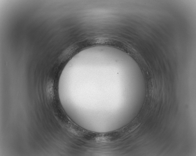 X0000064770216200602242006