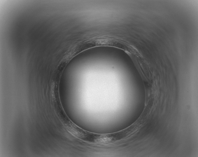 X0000064770217200602242006