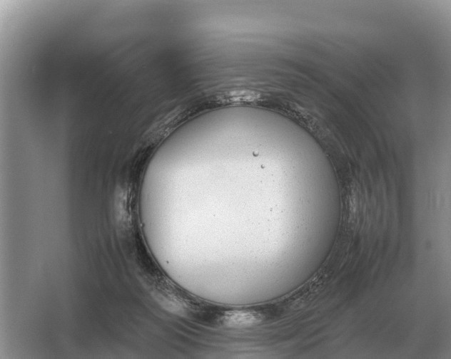 X0000064770218200602242006