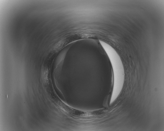 X0000064770219200602242006