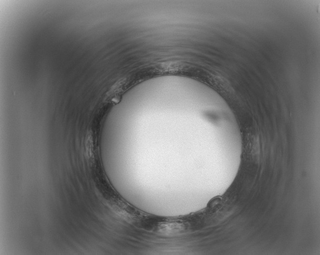 X0000064770220200602242006