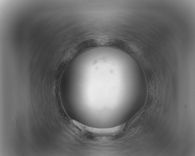 X0000064770221200602242006