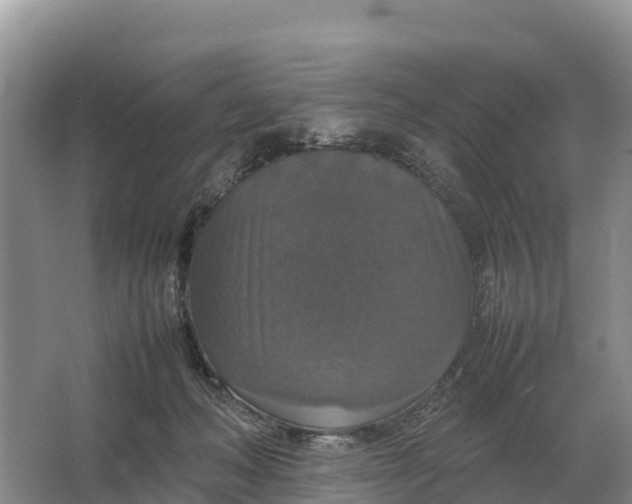 X0000064770222200602242006