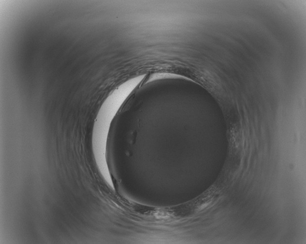 X0000064770223200602242006