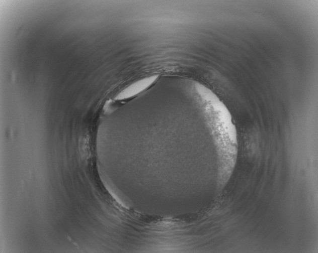 X0000064770224200602242006