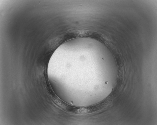 X0000064770225200602242006