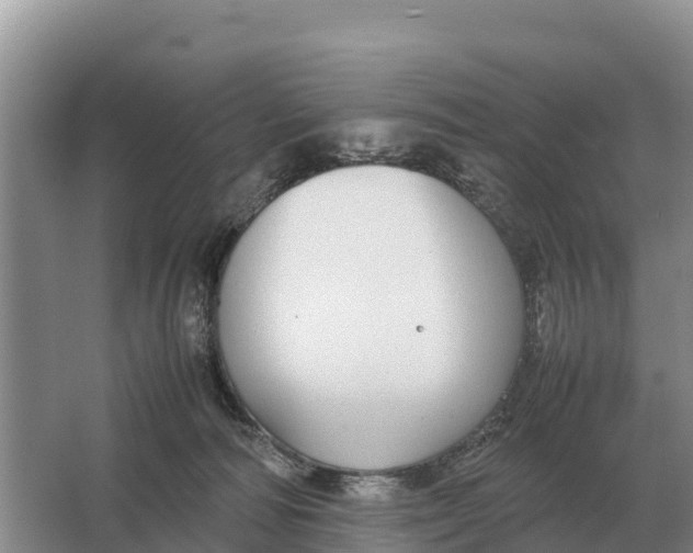 X0000064770226200602242006