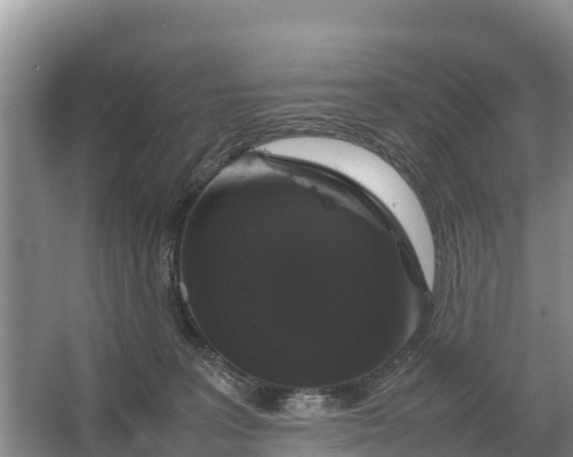 X0000064770227200602242006