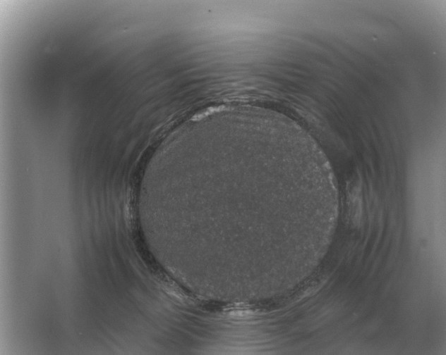 X0000064770228200602242006