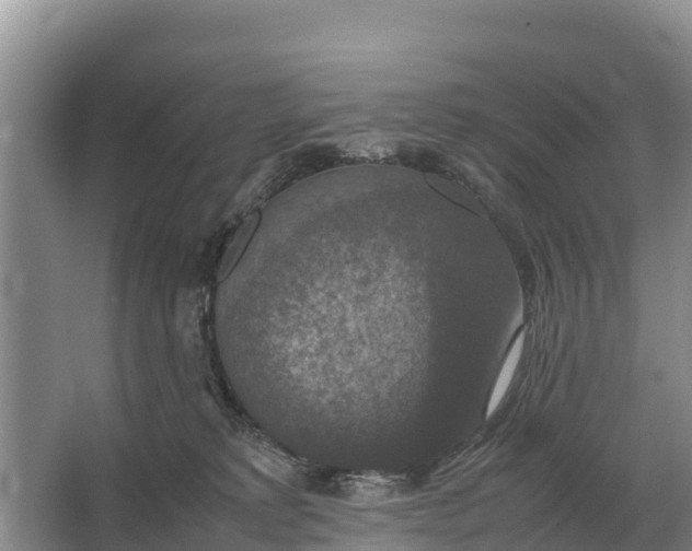 X0000064770229200602242006