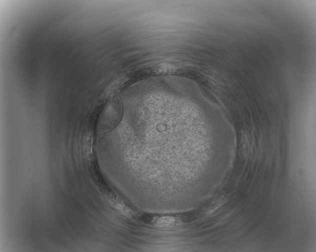 X0000064770230200602242006