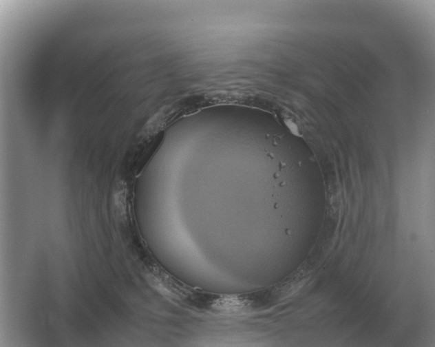 X0000064770231200602242006