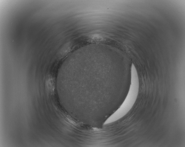 X0000064770232200602242006